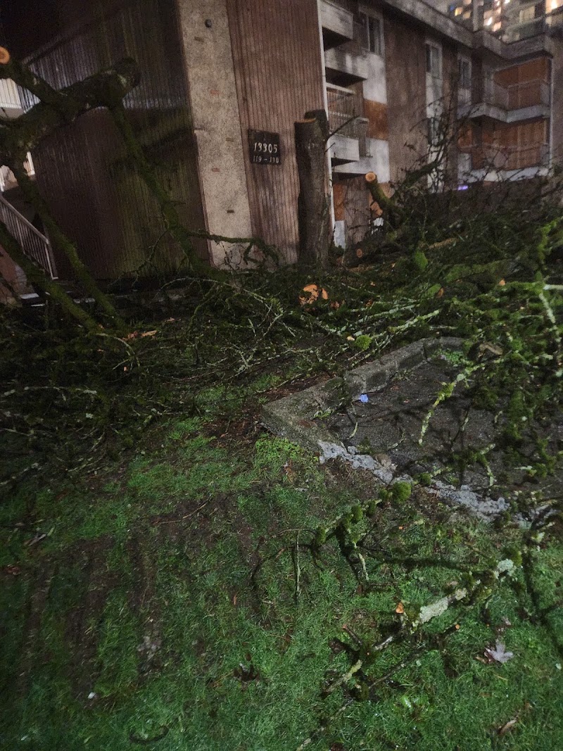 Horizon Tree Services photo