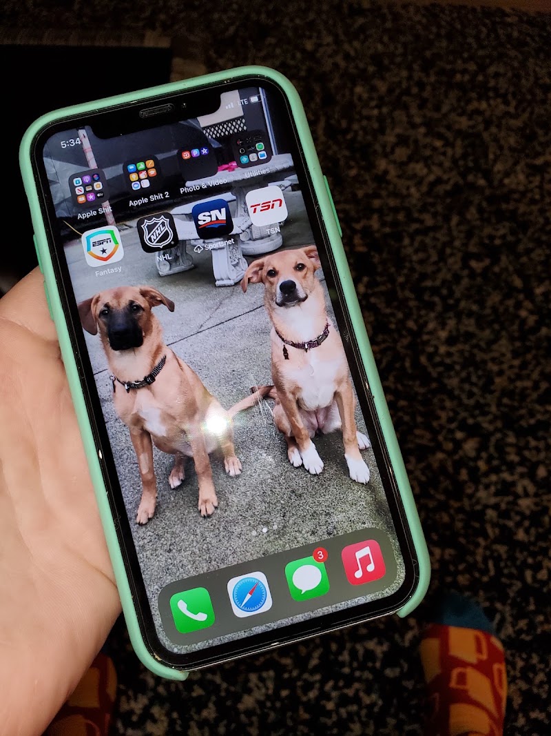 Dr Phone Fix photo