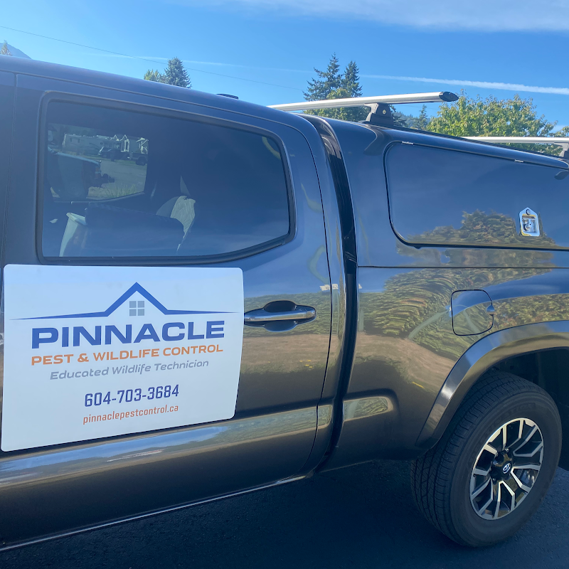 Pinnacle Pest & Wildlife Control photo