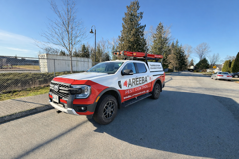 Areeba Pest Control photo