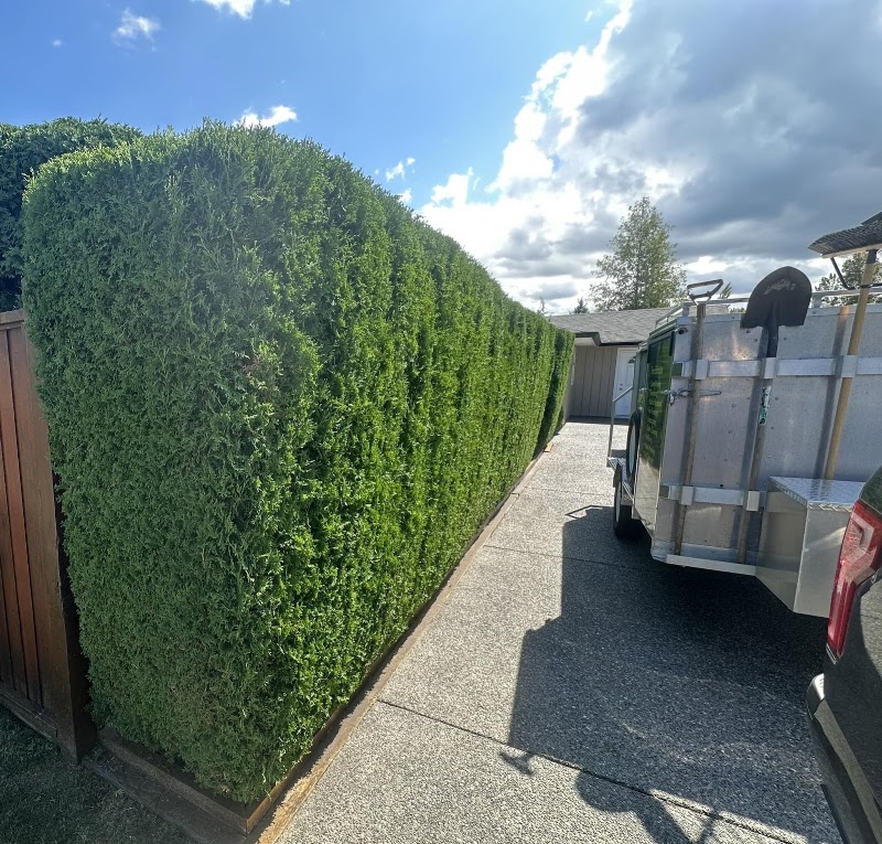 Greenlii Lawn & Landscape - Surrey (Fraser Heights) photo