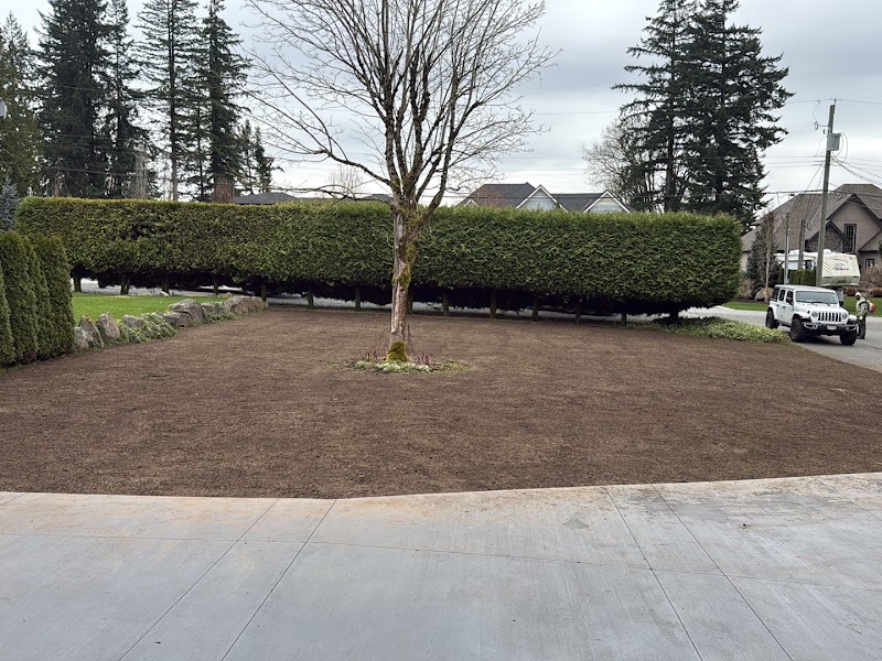 Splendid Landscaping Services photo