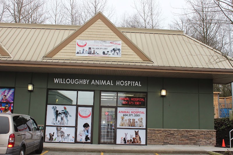 Willoughby Animal Hospital