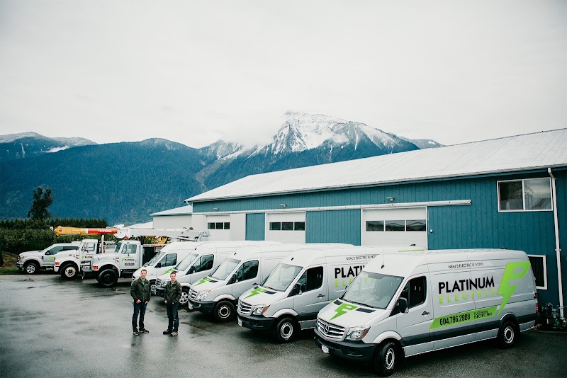 Platinum Electric