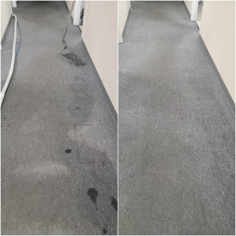 Knights of Cleaning photo