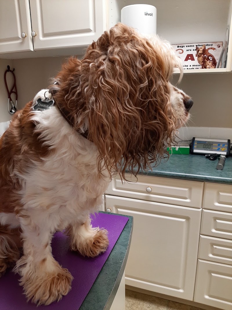 Paws & Claws Animal Hospital photo