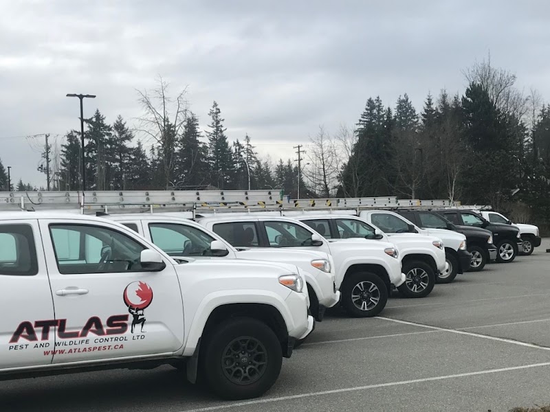 Atlas Pest And Wildlife Control Ltd