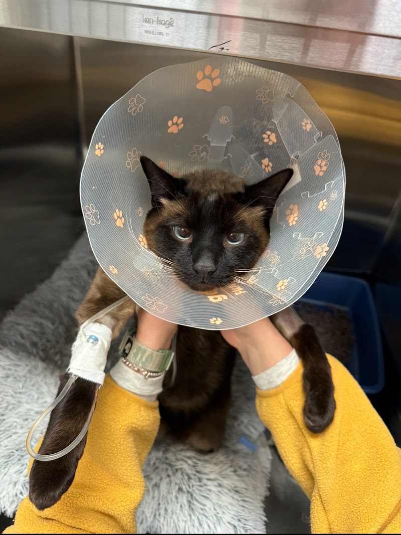 Menzies Pet Hospital photo