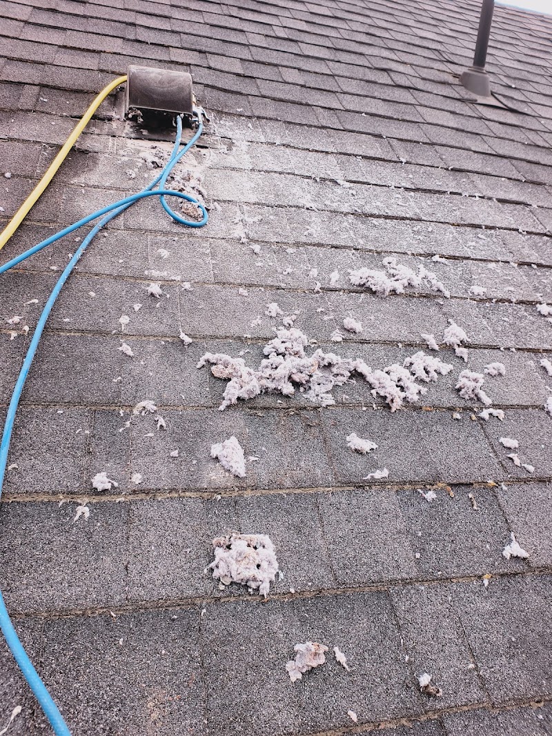 Prime Edge Cleaning photo