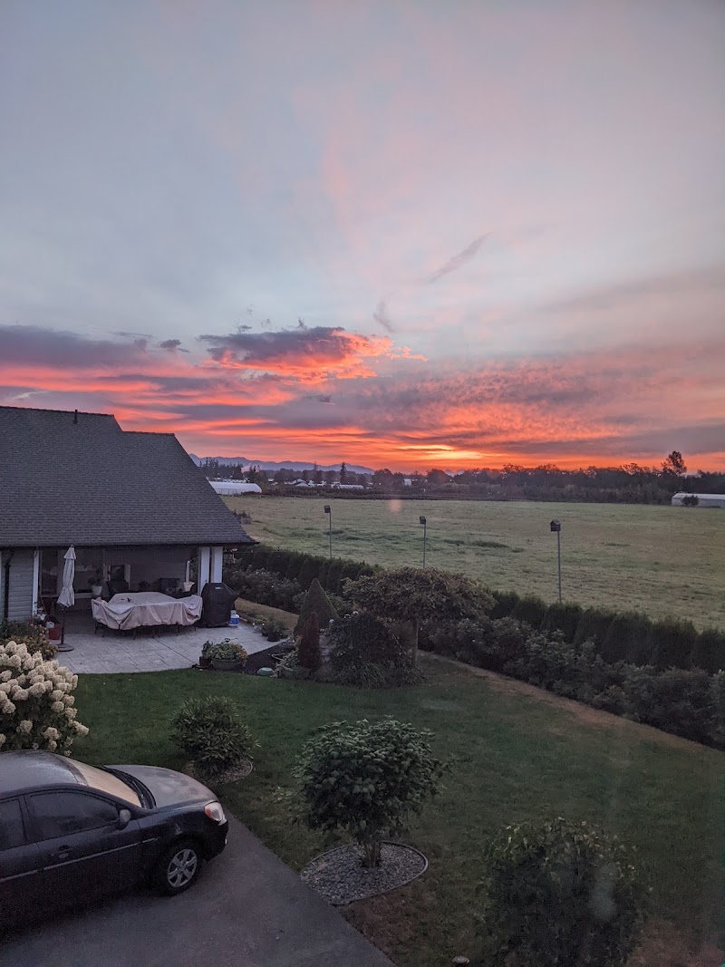 Aldor Veterinary Clinic Ltd.