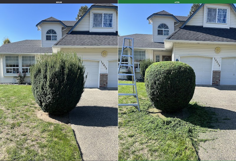 Leo's Landscaping Ltd. photo