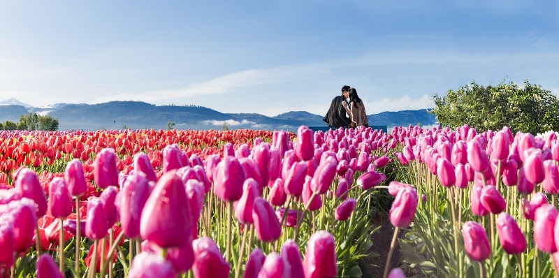 OREN & JONES Photography