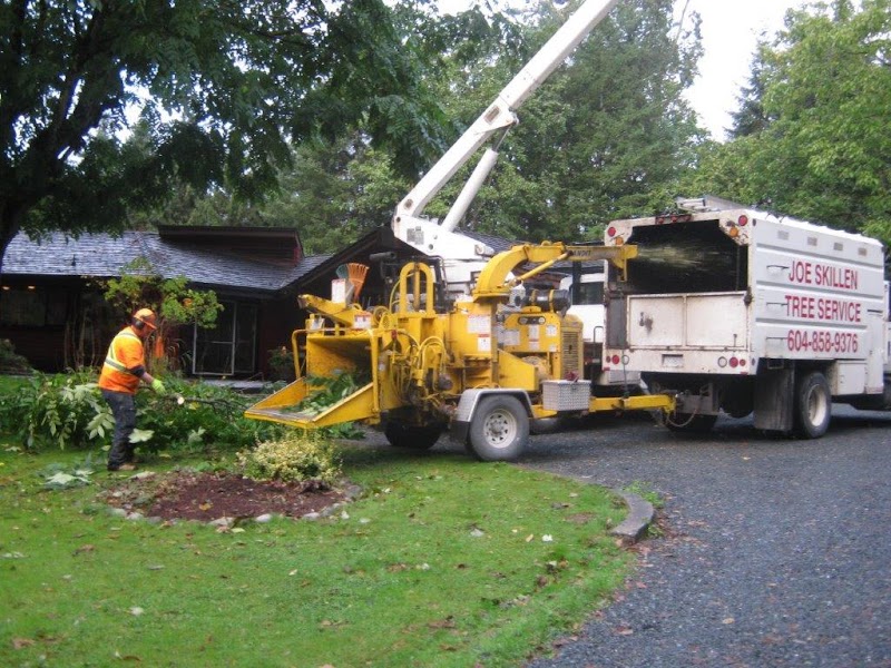 Joe Skillen Tree Services Ltd.