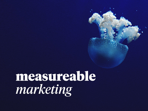 Blue Meta Measurable Marketing