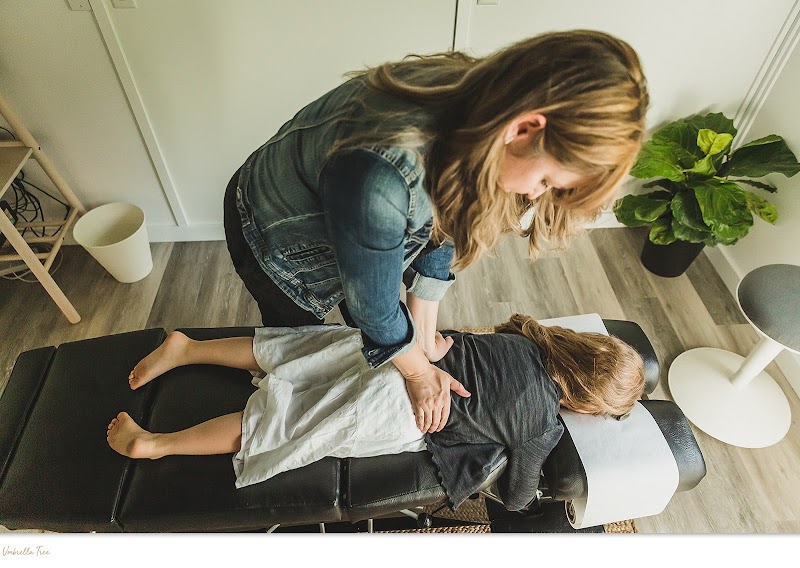 Serenity Family Chiropractic photo