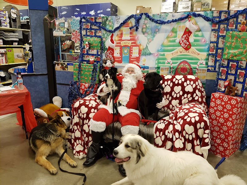 PetSmart photo