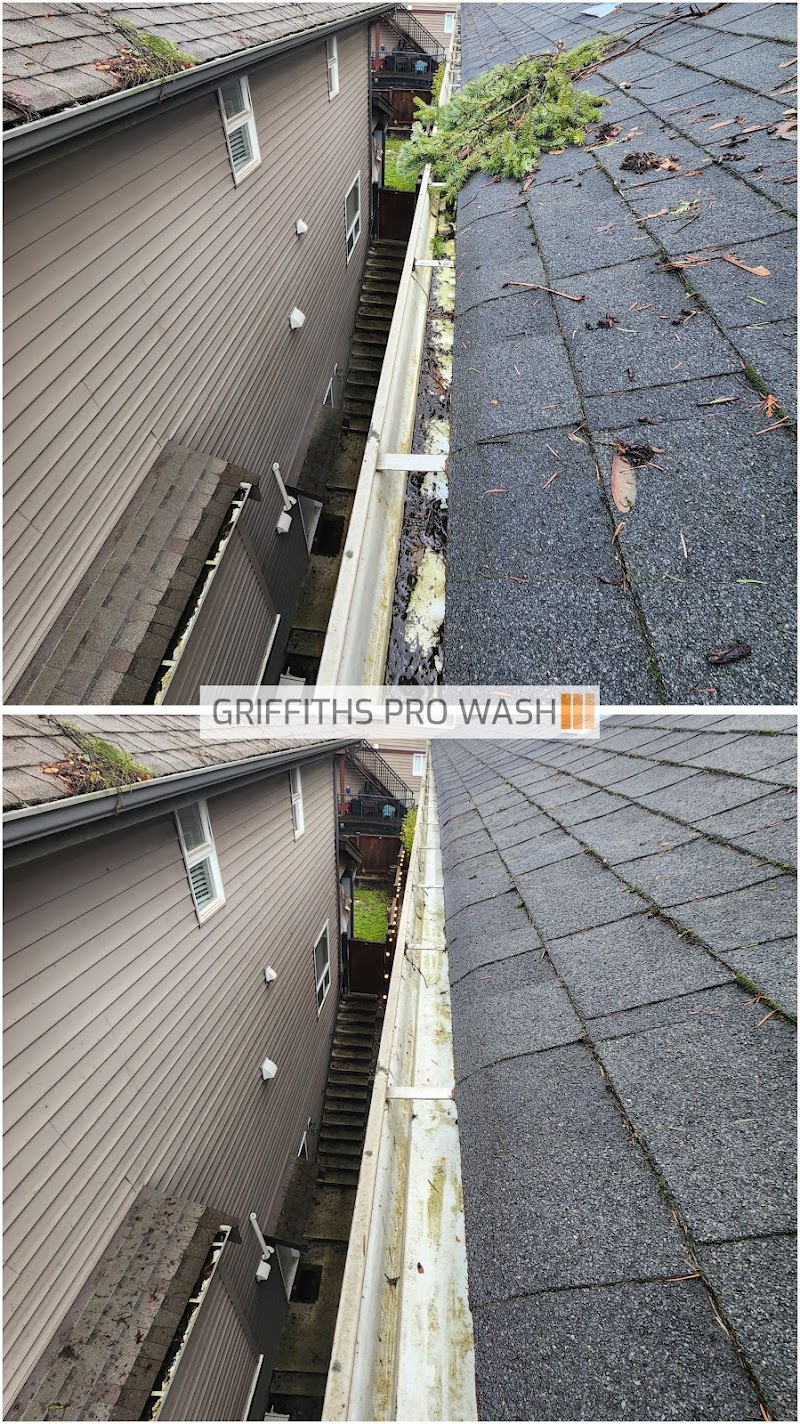 Griffiths Pro Wash photo