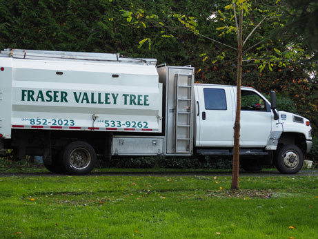 Fraser Valley Tree Service photo