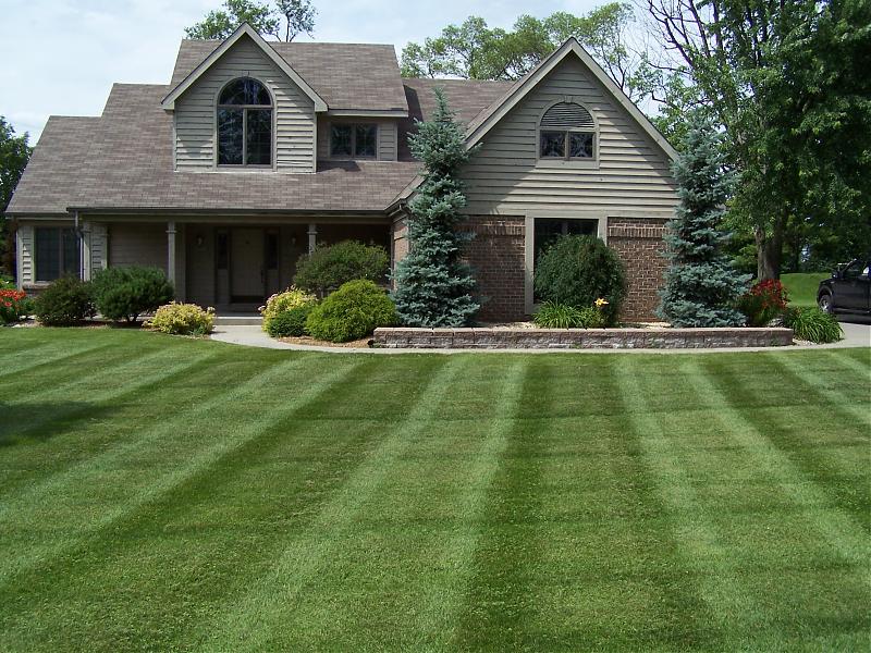 Basilscape Landscaping photo