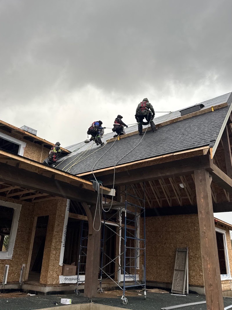 Top Notch Roofing photo