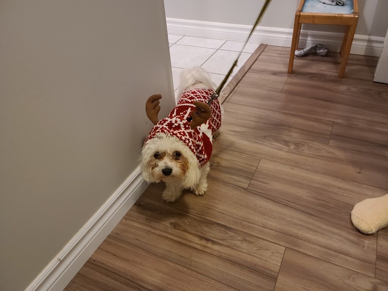Scruffy Tail Pet Food & Supplies Ltd The photo