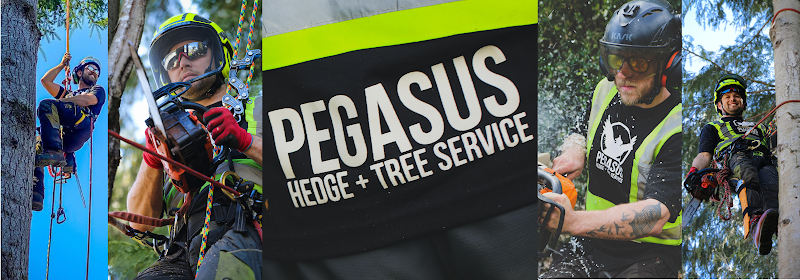 Pegasus Tree Service