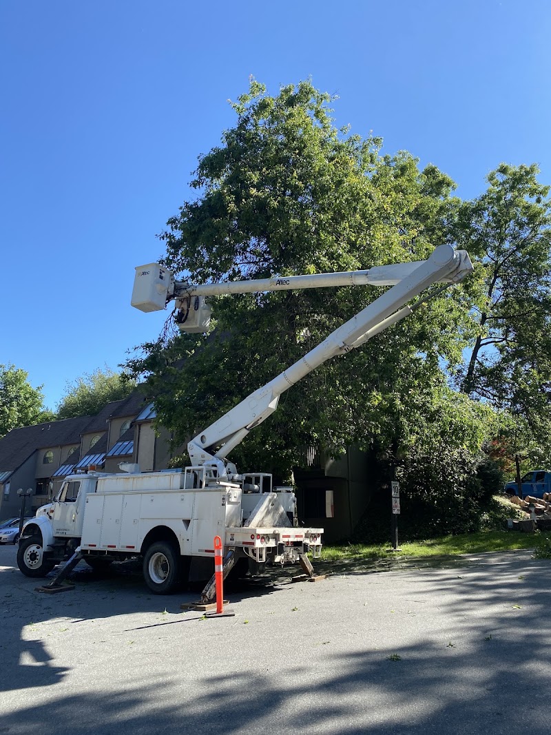Pegasus Tree Service photo