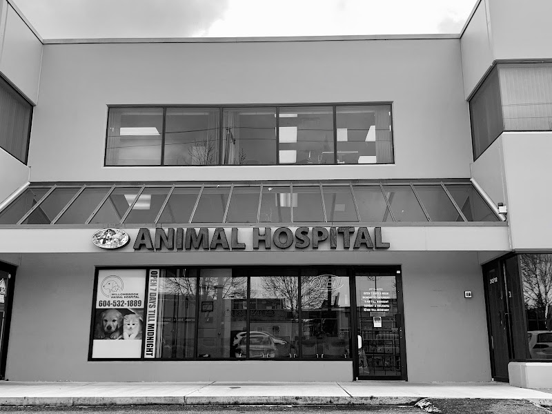 Willowbrook Animal Hospital