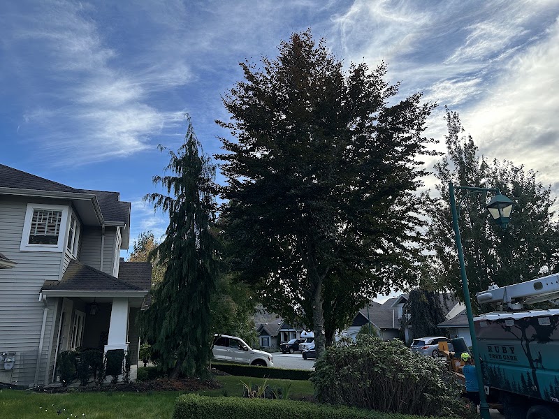 Ruby Tree Care