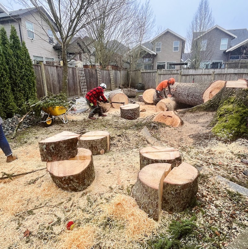 Ruby Tree Care photo