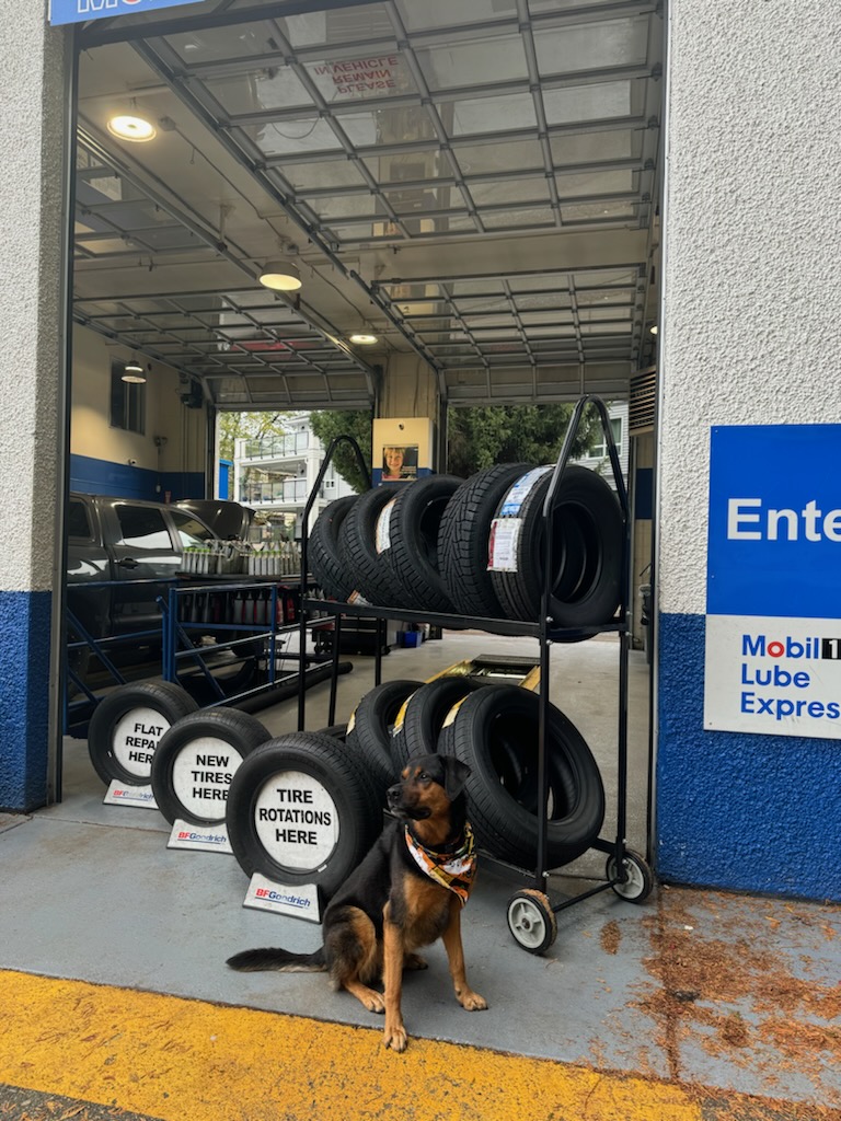 Mobil 1 Lube Express + Tires photo