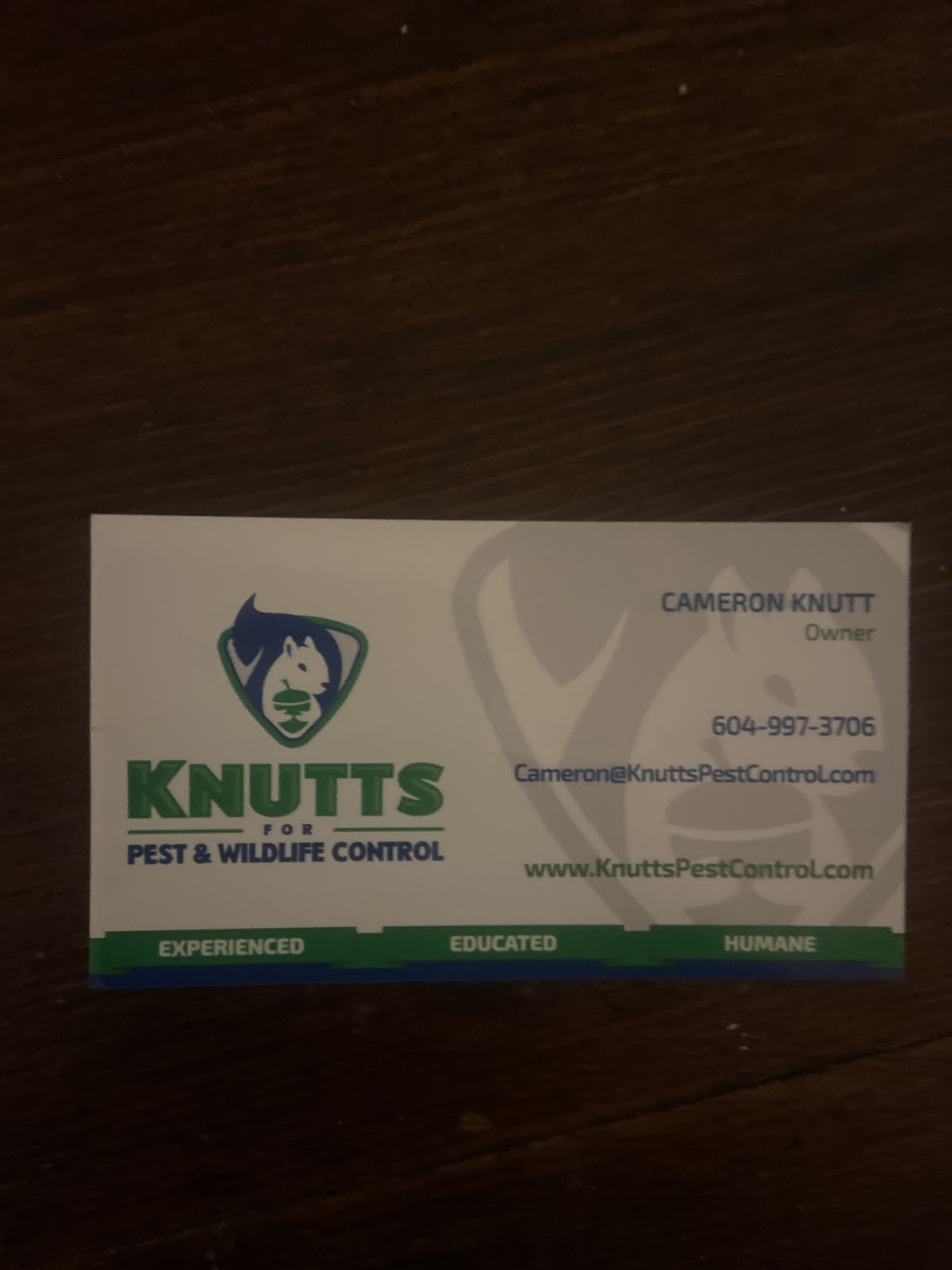 Knutts for Pest & Wildlife Control photo